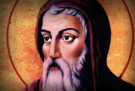 Daily Mass Theme